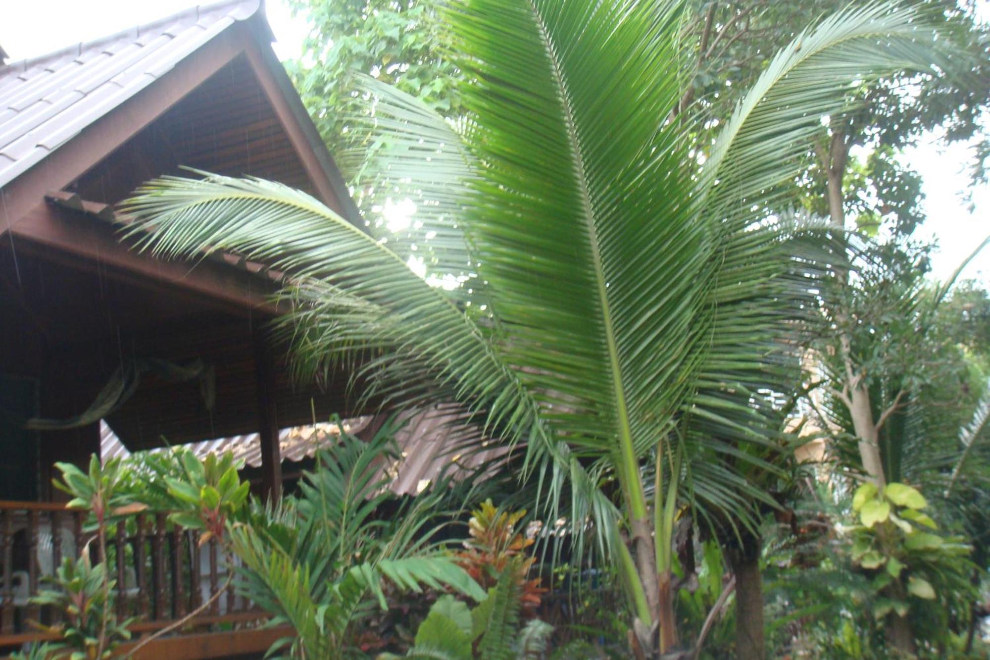 Silver Sands Resort - Ko Tao Eksteriør bilde